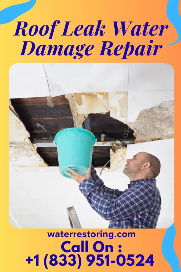 Roof Leak Water Damage Repair in Sweetser, IN