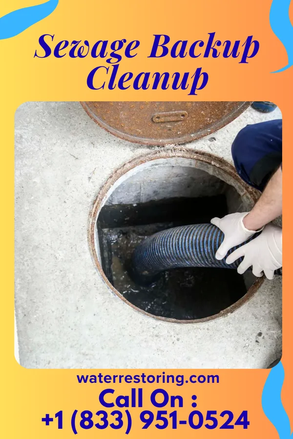 Sewage Backup Cleanup in Sweetser, IN