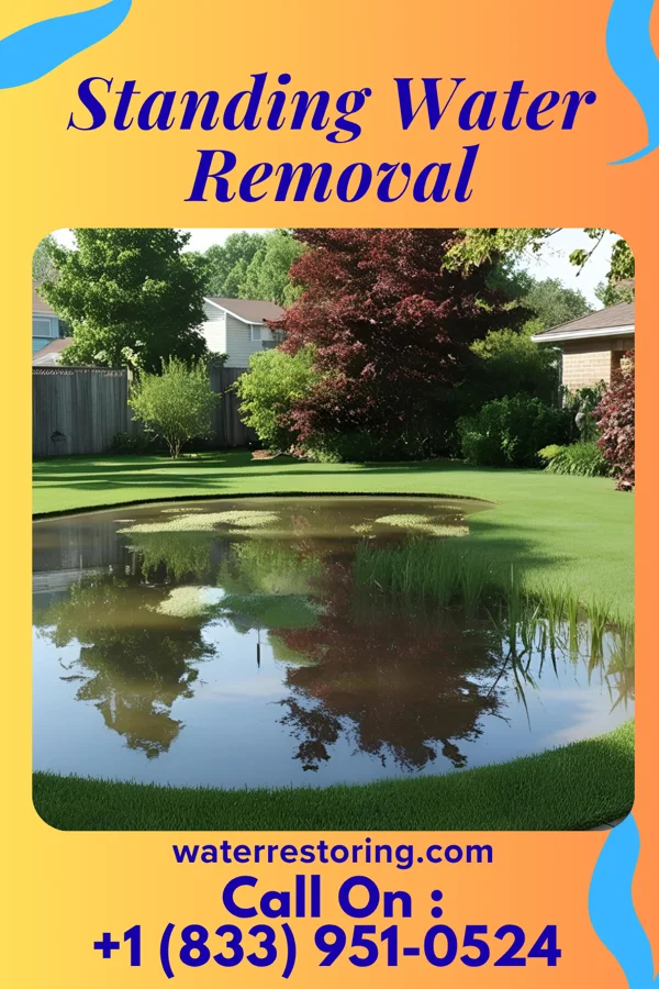 Standing Water Removal in Sweetser, IN